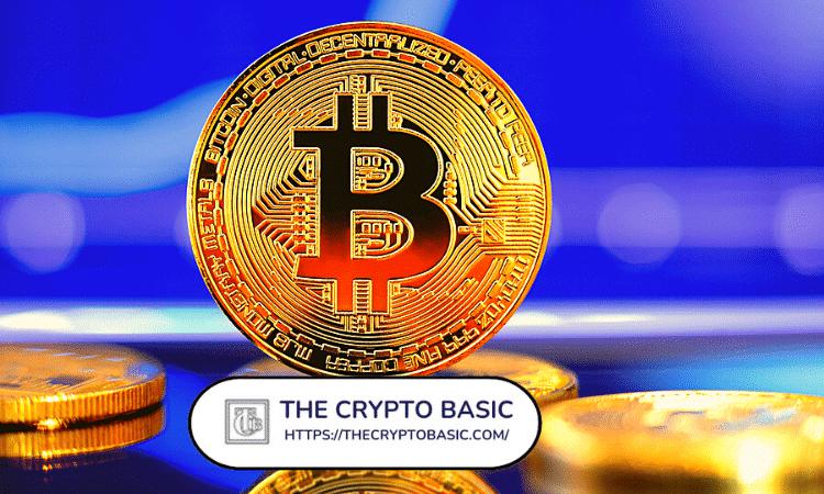 Stablecoin供应峰值预计将在2025年第一季度突破200亿美元：这对比特币的复苏有何意义？