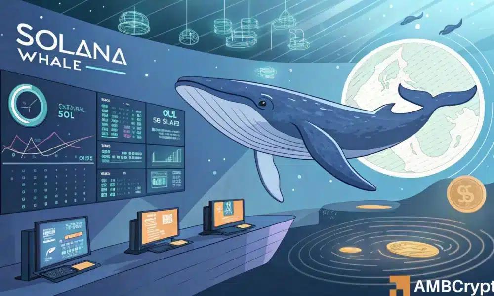 Should You Be Concerned as Solana Whale Withdraws  Million Bet Four Years Later?