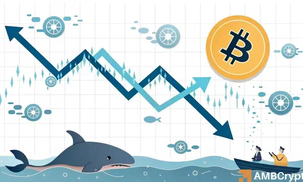 比特币价格走势分析:历史新低对比特币的影响