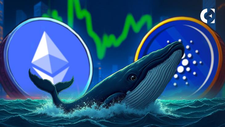 数据显示,散户恐慌抛售导致鲸鱼囤积 ETH 和 ADA 的现象明显增加