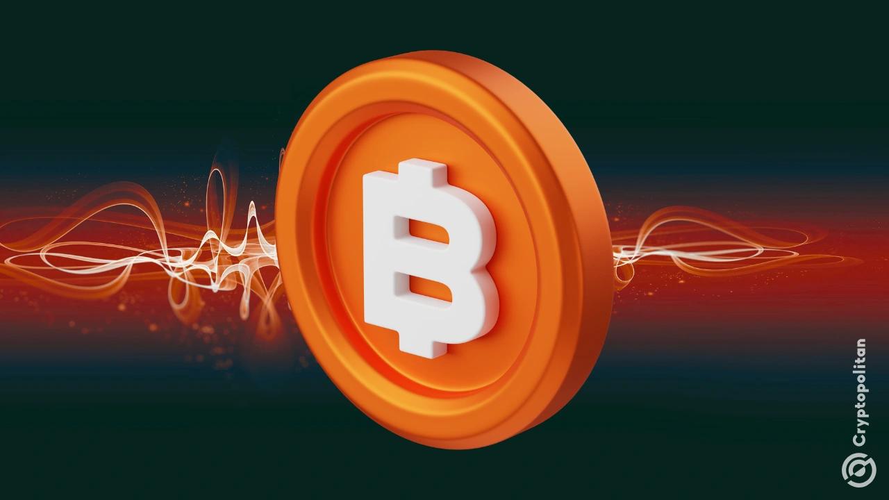 美国加密货币周热潮：比特币鲸鱼交易量达到20,000 BTC