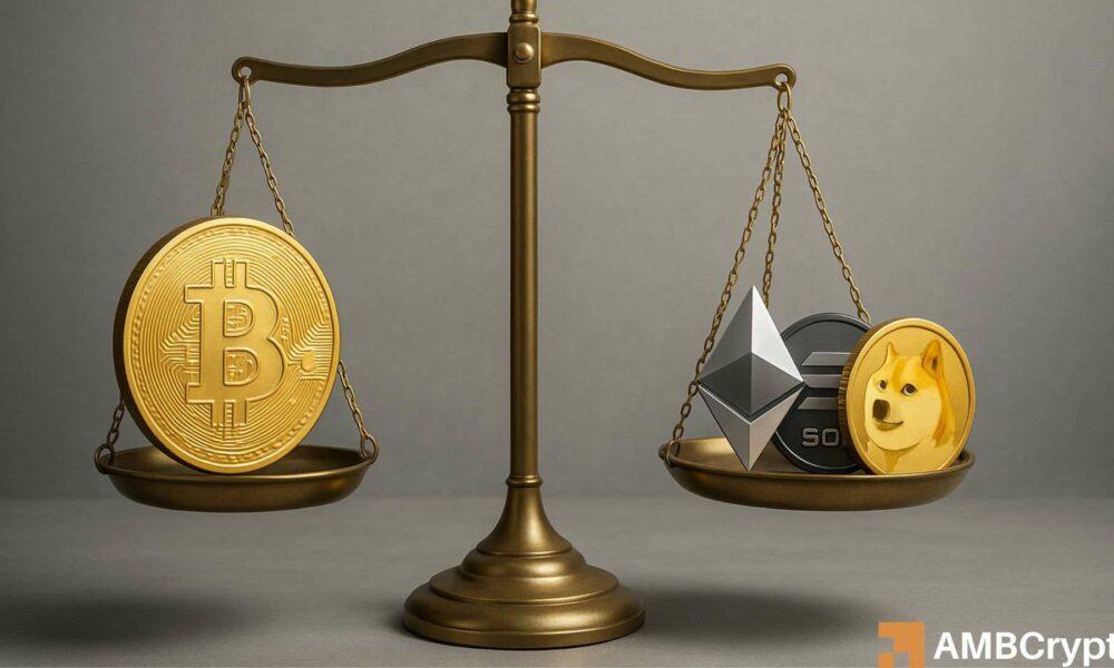 FET、AAVE和DOGE:山寨币领头羊崛起,新山寨币季或将来临?