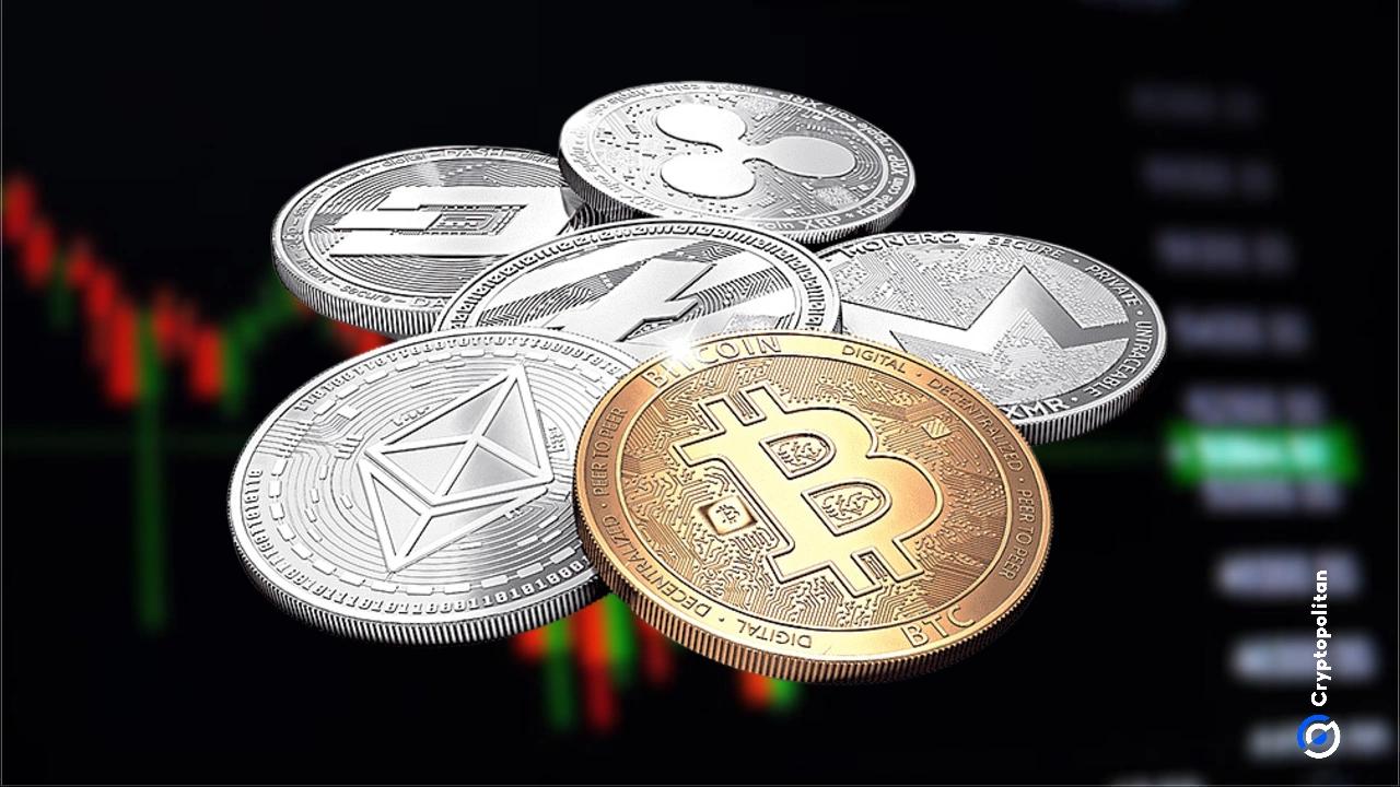 币安上出现涨势,山寨币迎来春天的曙光