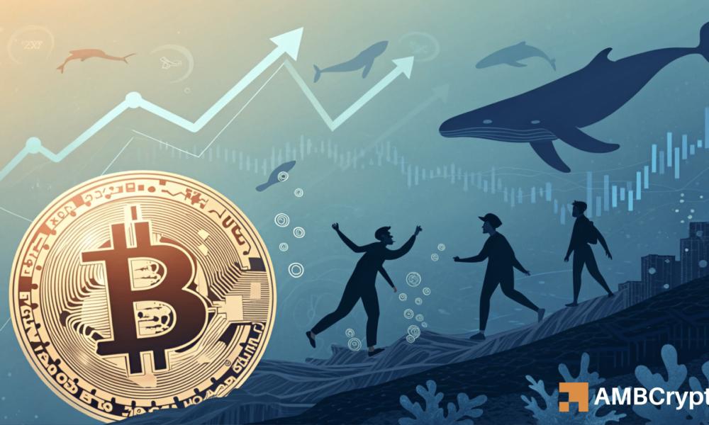 比特币的未来:在熊市来临前,能否迎来20%的涨幅?