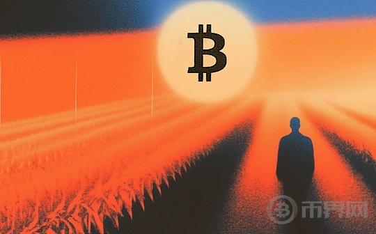 From Tulip Mania to Bitcoin Craze: A Speculative Reflection on History