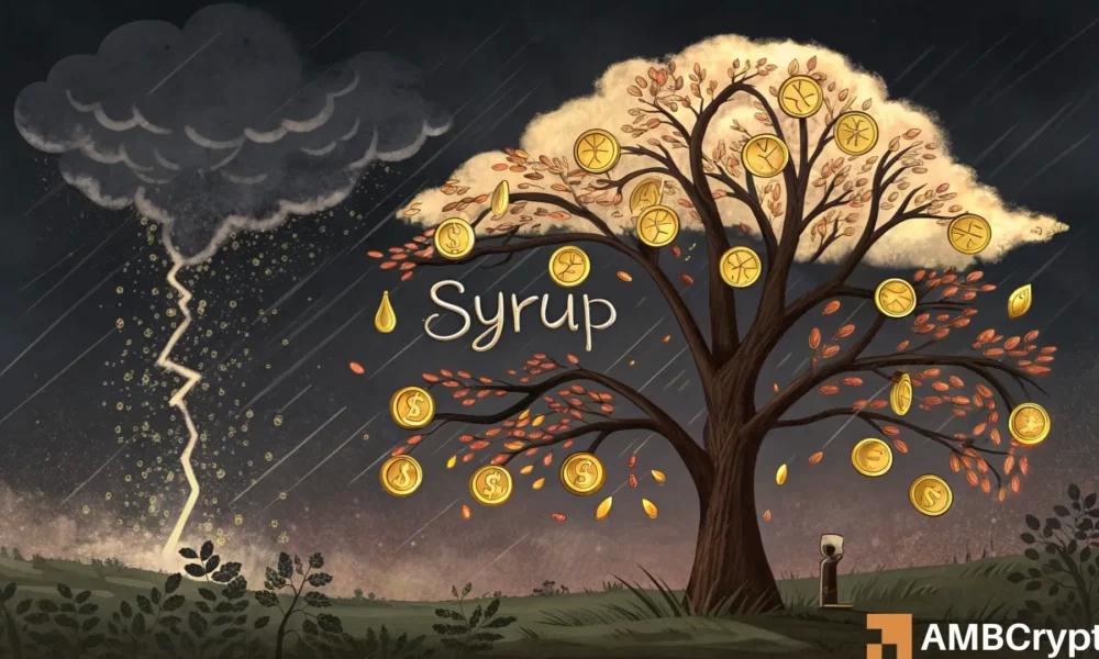 SYRUP Token Faces Rejection at <img src=