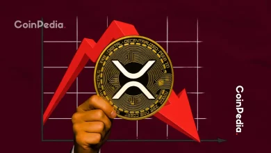 XRP价格今日跌幅的主要原因